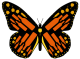 MonarchWines's Avatar