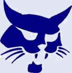 Bob Cat's Avatar