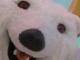 polarbehr's Avatar