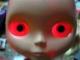 willdogs's Avatar