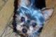 old.blue's Avatar
