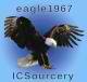 eagle1967's Avatar