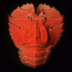 Afront's Avatar