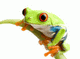 TXLady's Avatar