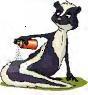 skunkpbguy's Avatar