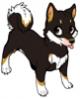 Inphosys's Avatar