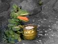 Soupdragon's Avatar