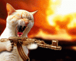 Psychokitty's Avatar