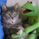 LunchBB's Avatar