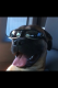 knappkd's Avatar