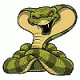 madviper20's Avatar