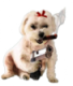 nevets989's Avatar