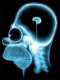 boster's Avatar