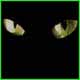 dvdcatalyst's Avatar