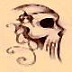 mjp2365's Avatar