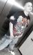 twynn373's Avatar