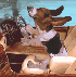 lriv's Avatar