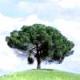 mll's Avatar