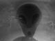 reddogkgb's Avatar