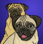 melissapugs's Avatar