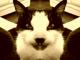 camevad's Avatar
