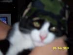 aug2168's Avatar