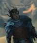 Netherlords's Avatar