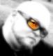 SscoootzZ's Avatar