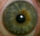mrast's Avatar