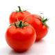 tomato88's Avatar