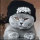 Doug M's Avatar