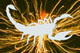 thesea's Avatar