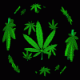 jg62's Avatar