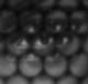 mongaulois's Avatar