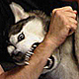 dirksterg30's Avatar