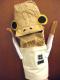 YaiChan's Avatar
