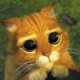 refthemc's Avatar