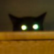 Obee's Avatar