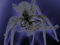 Riche101's Avatar