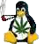 copy's Avatar