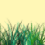 PPPHHHTTT's Avatar
