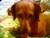 hotwire's Avatar