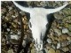markc2's Avatar