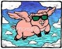 FlyingPigL's Avatar