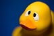 RubberDucker's Avatar