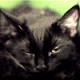 NightOwl87's Avatar