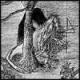 saltorio's Avatar
