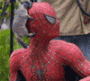 wer's Avatar