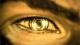 Riotpump's Avatar