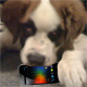 darejer's Avatar